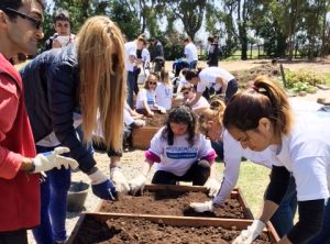 Voluntariado ambiental